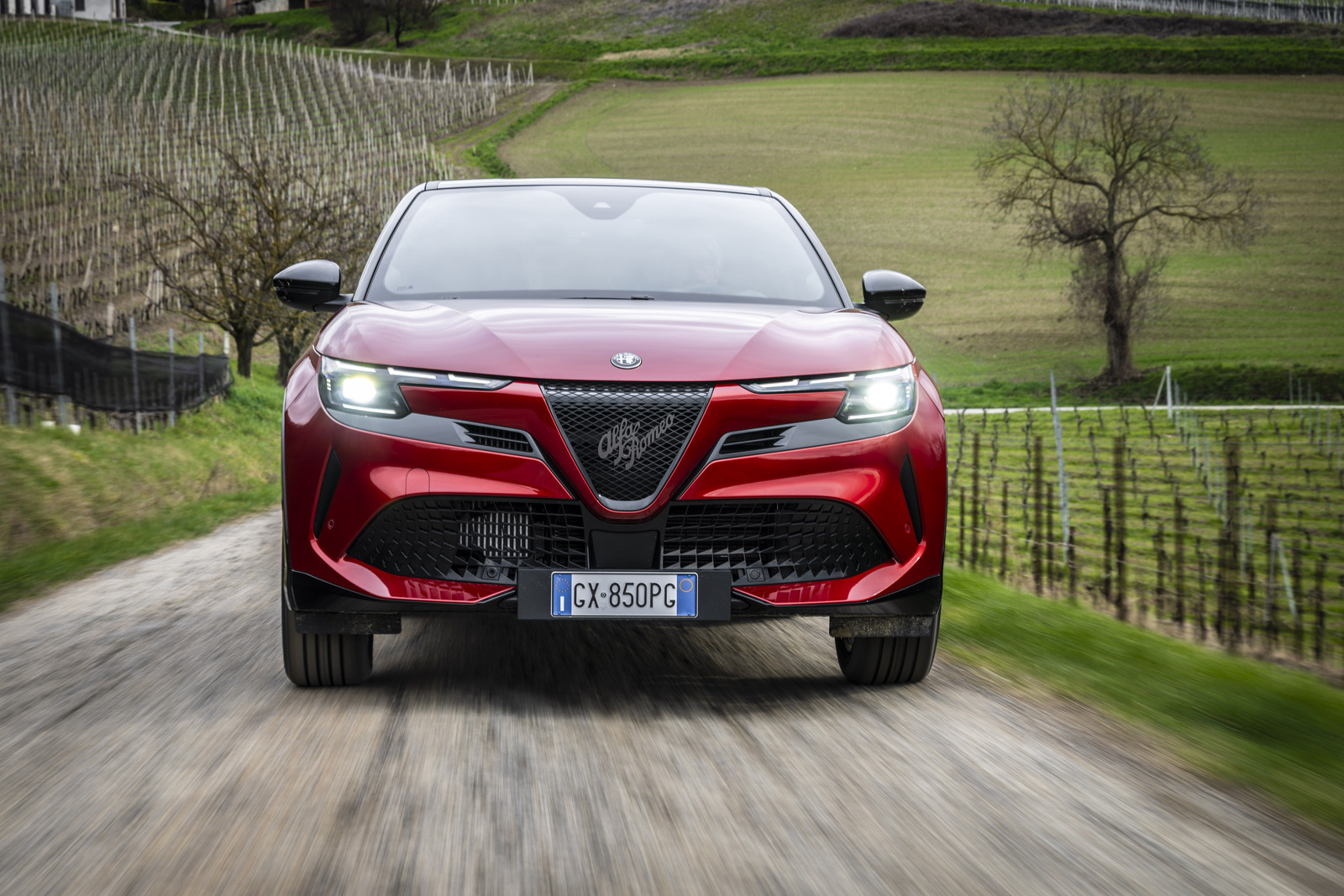 Bilan 2025 : Alfa Romeo s’envole en France (+42%) grâce au succès du Junior